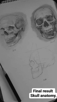 Sketch study